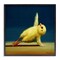Stupell Industries Yellow Chick Stretching Yoga Framed Giclee Art